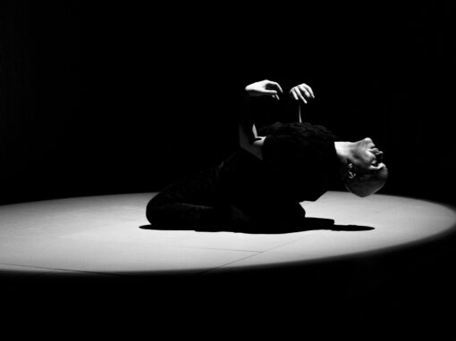 Reportaje cultural de Gonzalo Catalinas